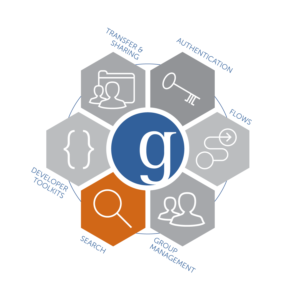 Globus Search icon