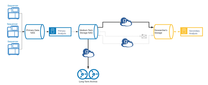 University of MI workflow