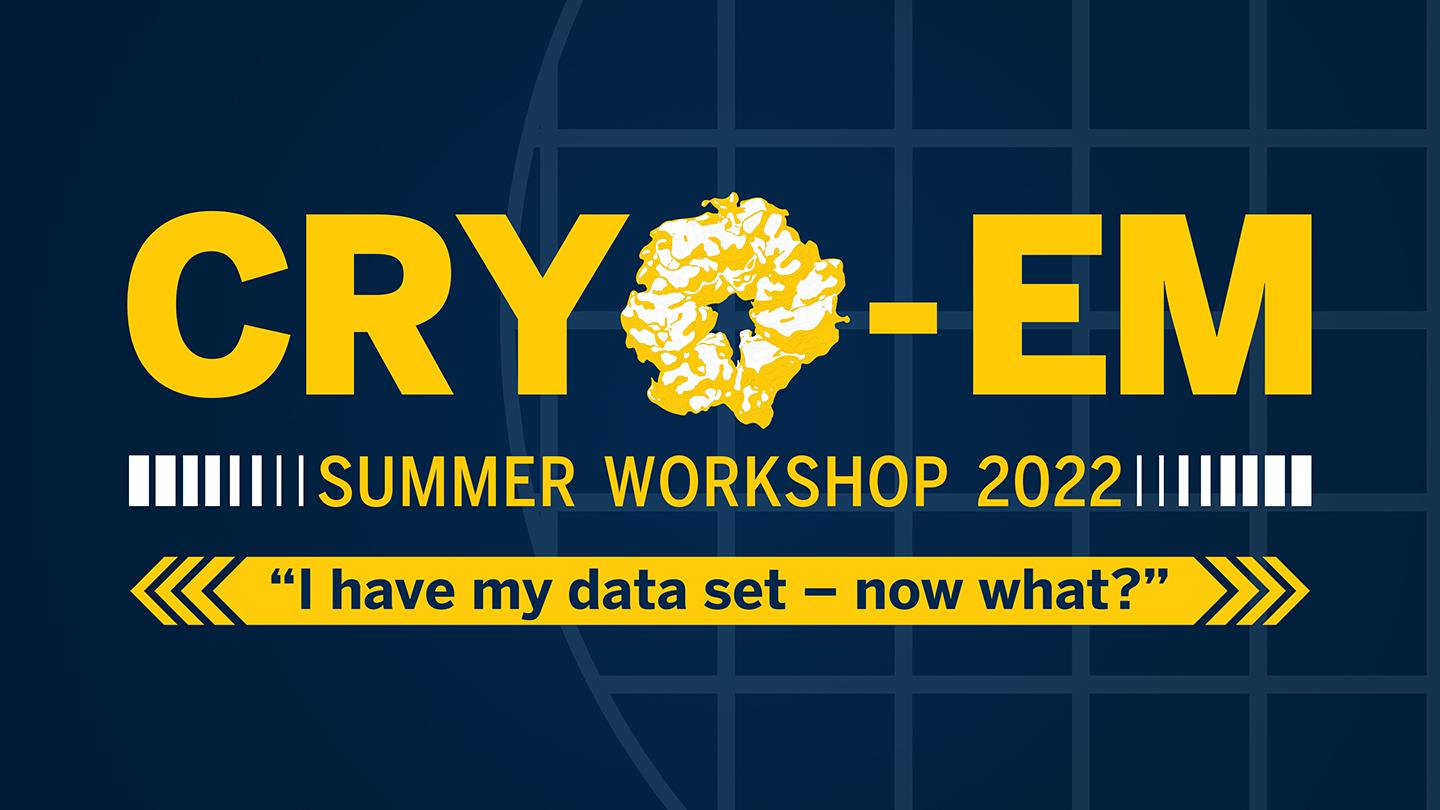 Cryo-EM graphic