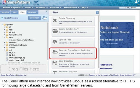 UI Image of GenePattern UI image with GenePattern